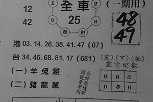 4/1  天地宮 特別版-六合彩參考.jpg