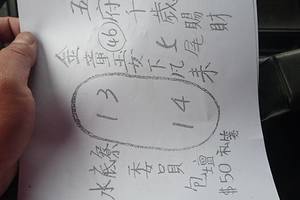 4/1  水底寮照眾寺-六合彩參考.jpg