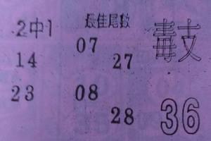 3/7  營-六合彩參考.jpg