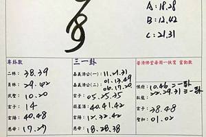 2/21-2/25  承恩石頭公-六合彩參考.jpg