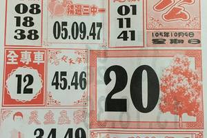 10/9  大樹公-六合彩參考.jpg
