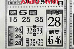 4/15  五路財神手冊-六合彩參考.jpg