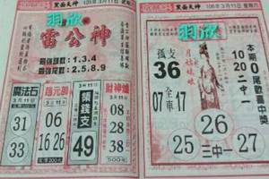 3/11  雷公神+善隱寺-六合彩參考.jpg