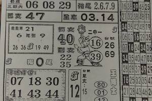 3/7  萬應公-六合彩參考.jpg
