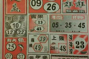 2/16  一定贏-六合彩參考.jpg