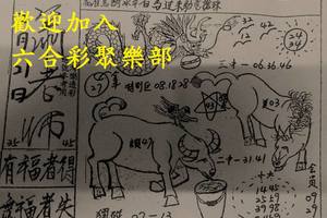2/21  蕭老師-六合彩參考.jpg