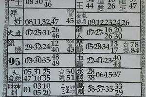 3/9  六合彩參考資料-六合彩參考.jpg