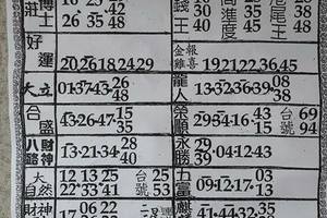 4/11  六合彩參考資料-六合彩參考.jpg