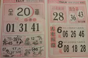 2/23  馬會版路-六合彩參考.jpg