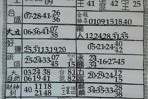 3/21  六合彩參考資料-六合彩參考.jpg