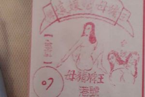 2/18  豬母娘娘-六合彩參考.jpg