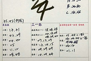 3/28-4/1  承恩石頭公-六合彩參考.jpg