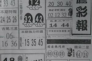 4/4  黑鷹彩報-六合彩參考.jpg