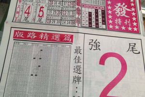 3/30  馬上發特刊-六合彩參考.jpg
