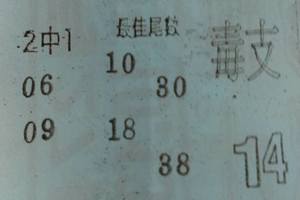 2/23  營-六合彩參考.jpg