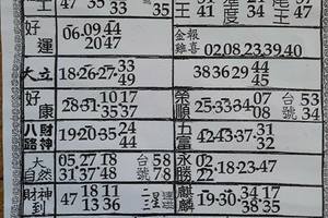 4/8  六合彩參考資料-六合彩參考.jpg