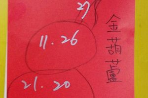 4/6  金葫蘆-六合彩參考.jpg