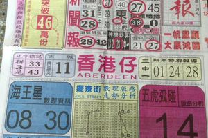 2/1  中國新聞報-六合彩參考.jpg