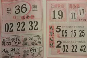 2/21  馬會版路-六合彩參考.jpg