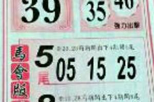 4/6  馬會版路-六合彩參考.jpg