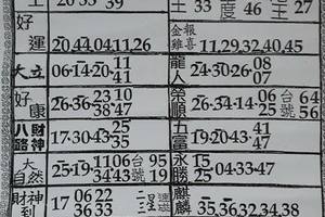 4/29  六合彩參考資料-六合彩參考.jpg