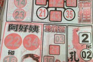 2/23  龍報-六合彩參考.jpg