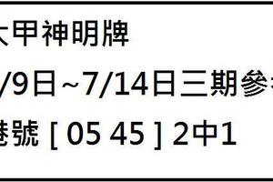 7/12-7/14  大甲神明牌-六合彩參考