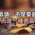 學會低頭，不是委曲求全，而是一種勇氣。