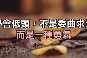 學會低頭，不是委曲求全，而是一種勇氣。