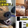 20張讓你這週充滿新鮮感的「網路超扯蛋照片」。