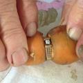 老奶奶遺失13年的鑽戒突然找到了，而小偷就是把它戴在身上的「一根紅蘿蔔」！