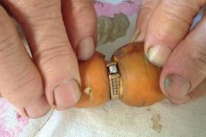 老奶奶遺失13年的鑽戒突然找到了，而小偷就是把它戴在身上的「一根紅蘿蔔」！